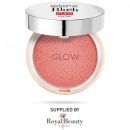 Pupa Extreme Blush Glow-Highlighting Effect Compact Blush-100